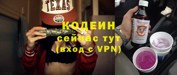 шишки Абаза