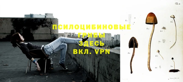 молекула духа Алзамай